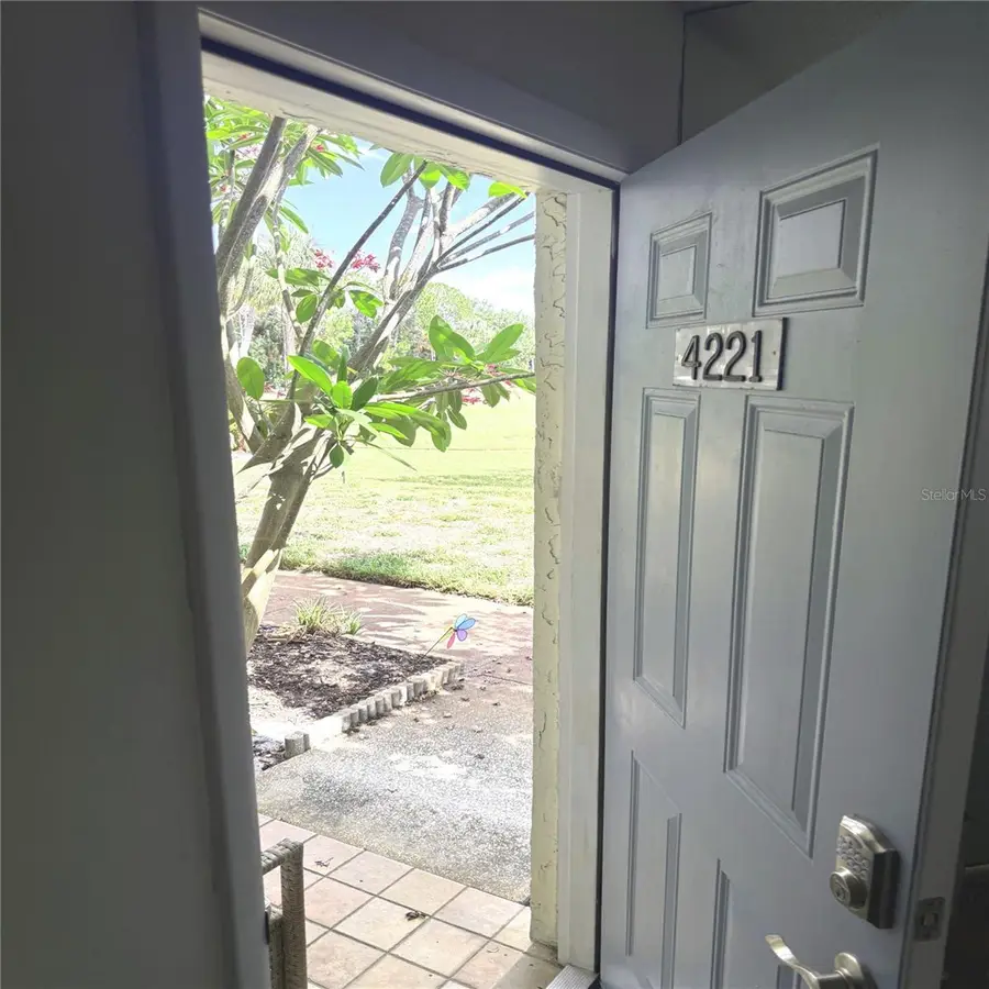 4221 La Sorrento Court, Tampa, FL 33611 - #2