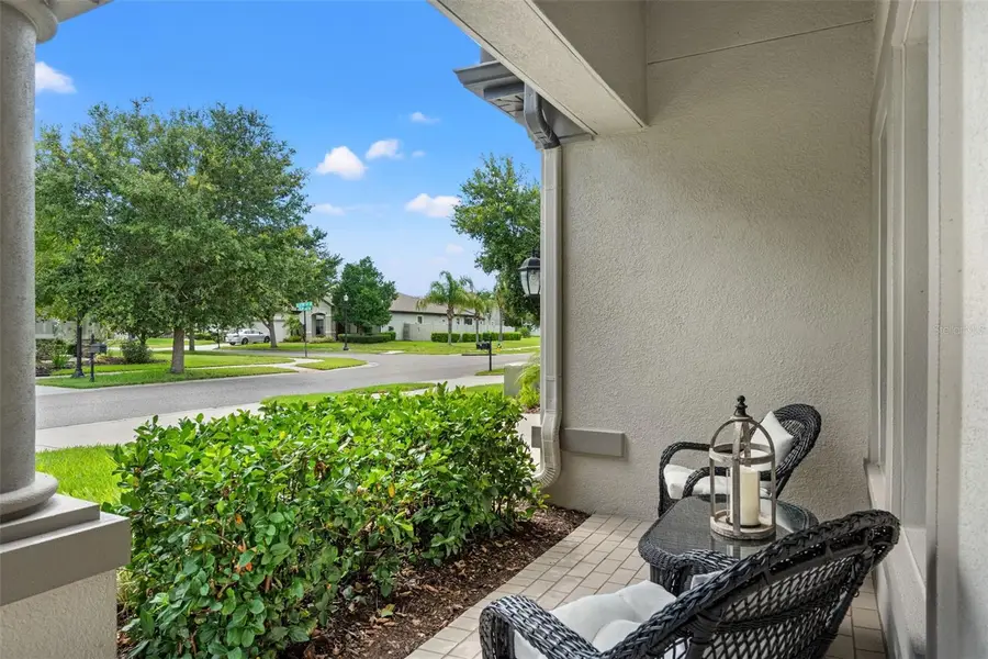 8320 Bluevine Sky Drive, Land O Lakes, FL 34637 - #3