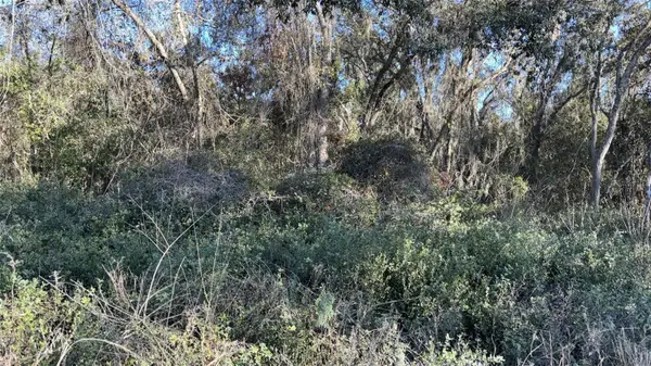 0 Bounty/barrett, NEW PORT RICHEY, FL 34654