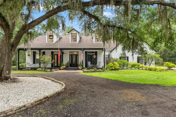 17163 Benes Roush Road, BROOKSVILLE, FL 34604
