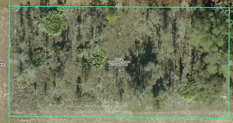 Courlan Road, Weeki Wachee, FL 34614 - #2