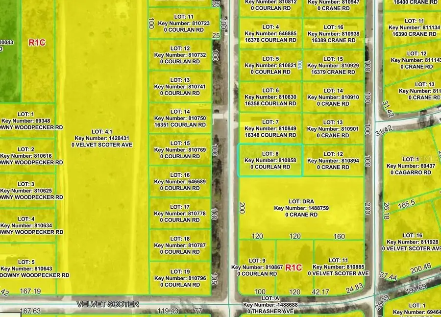 Courlan Road, Weeki Wachee, FL 34614 - #3