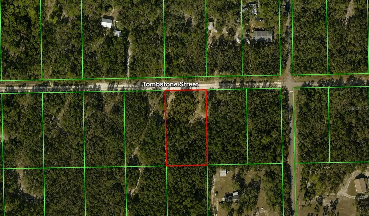 33240 Tombstone Street, Webster, FL 33597 - #1