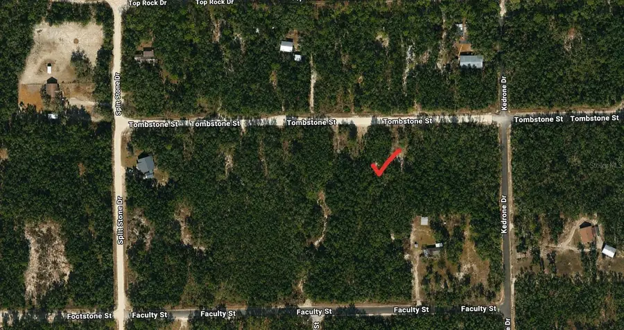 33240 Tombstone Street, Webster, FL 33597 - #3