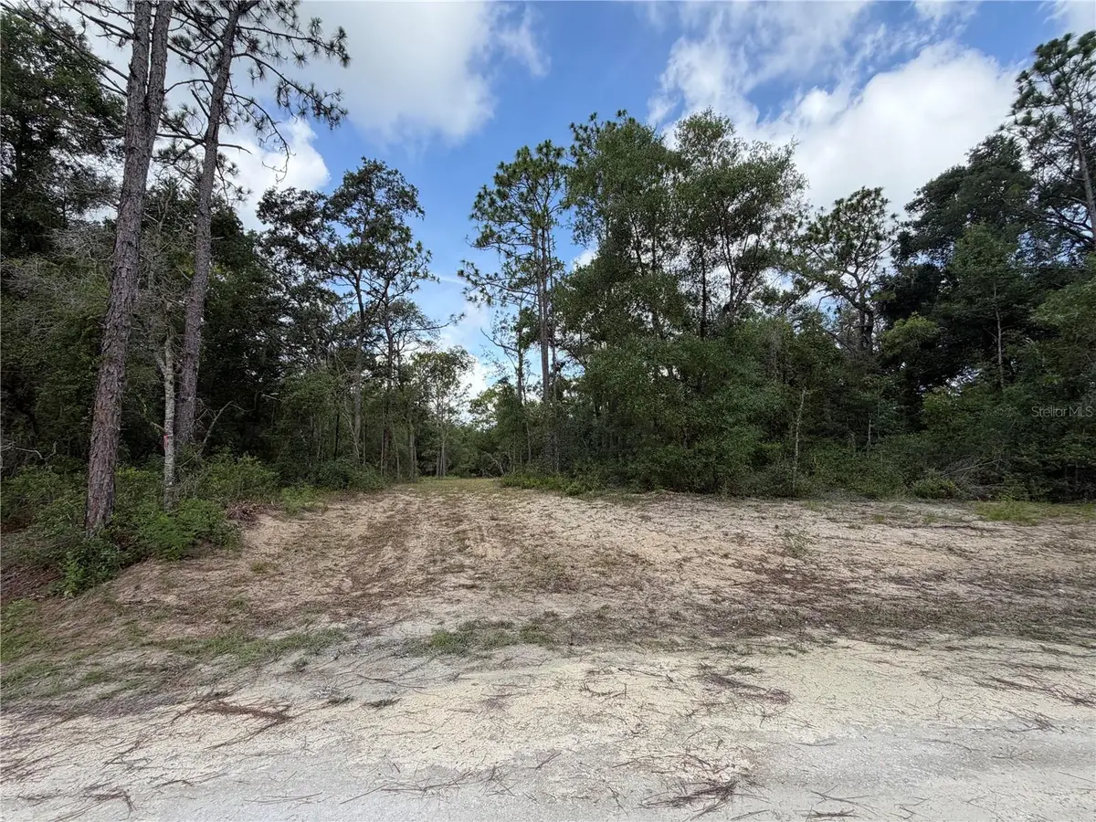 0 Idlewood Drive, Webster, FL 33597 - #1