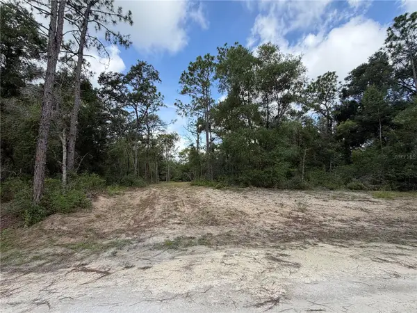 0 Idlewood Drive, WEBSTER, FL 33597