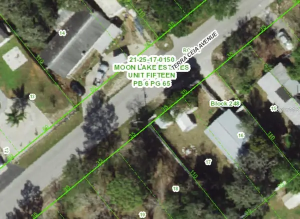 12350 Terra Ceia Avenue, NEW PORT RICHEY, FL 34654
