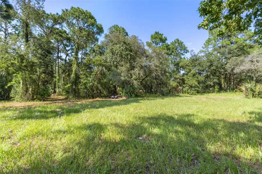 7056 Vance Street, Brooksville, FL 34604 - #3