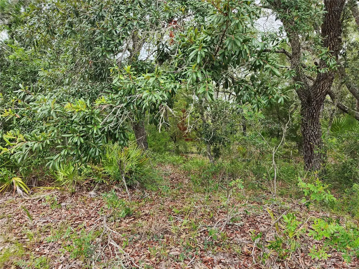 18364 Parakeet Road #Lot 25, Brooksville, FL 34614 - #1