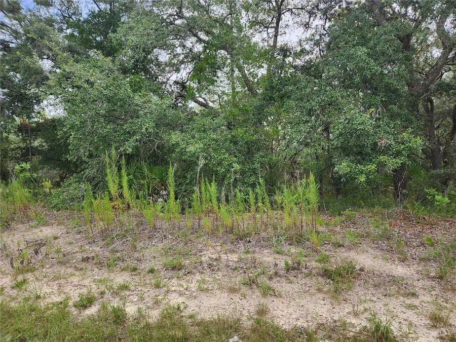 18364 Parakeet Road #Lot 25, Brooksville, FL 34614 - #2