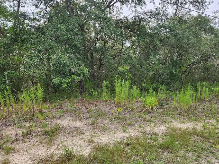 18364 Parakeet Road #Lot 25, Brooksville, FL 34614 - #3