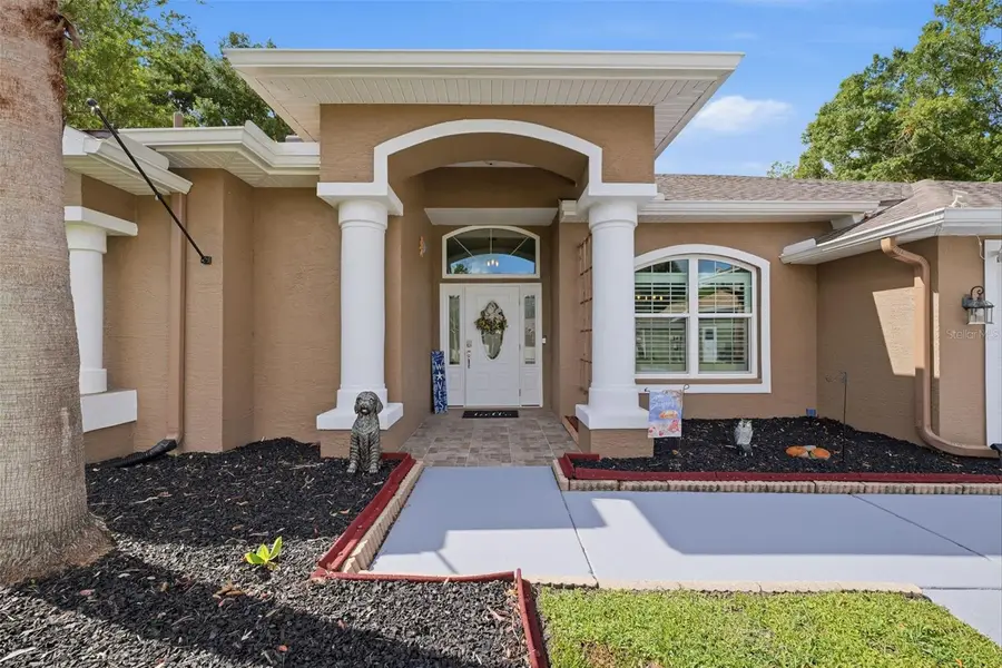 4710 Basswood Street, Land O Lakes, FL 34639 - #3