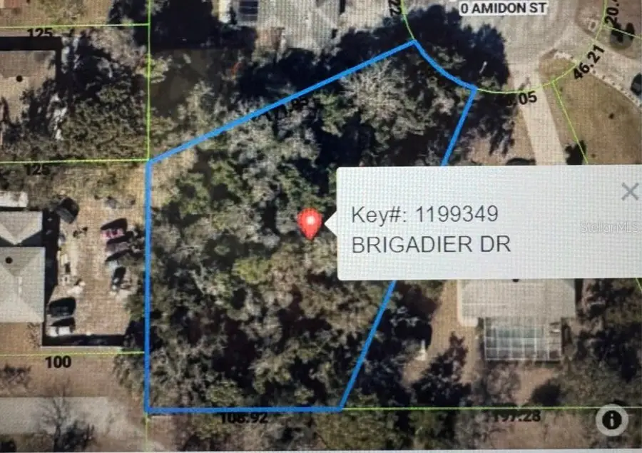 1453 Brigadier Drive, Spring Hill, FL 34608 - #3