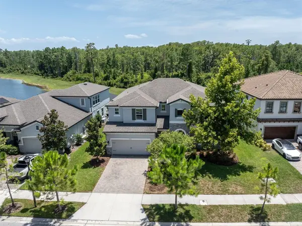 11736 Ranchers Gap Drive, ODESSA, FL 33556
