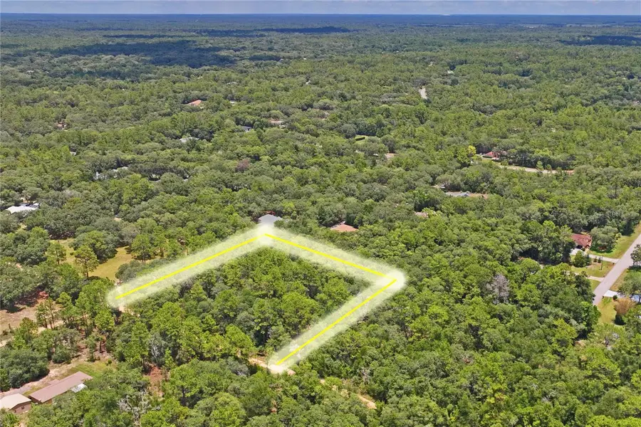 3537 N Jeremy Ave, Hernando, FL 34442 - #3