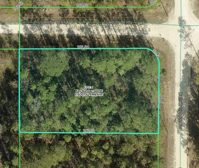 Sooty Tern Avenue, Weeki Wachee, FL 34614 - #2