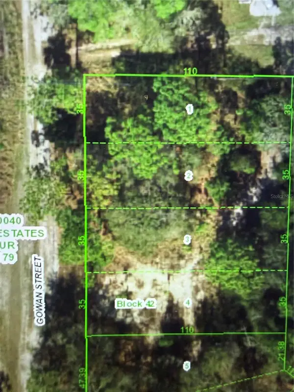11142 Gowan Street, NEW PORT RICHEY, FL 34654