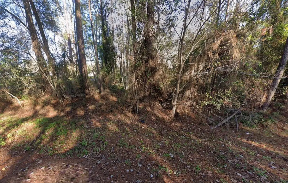 110 Pamela Drive, Satsuma, FL 32189 - #1