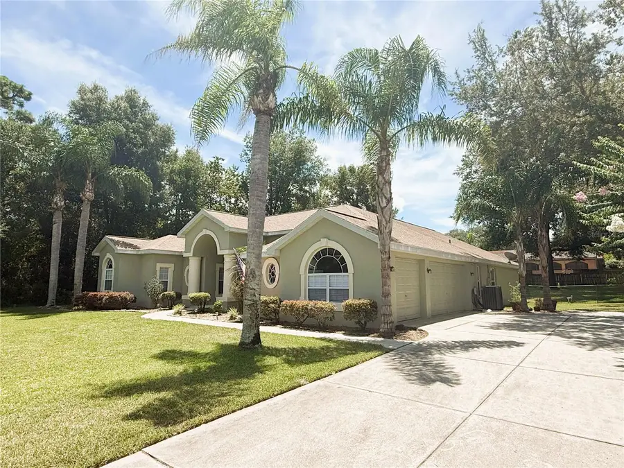 7552 River Country Drive, Weeki Wachee, FL 34607 - #2
