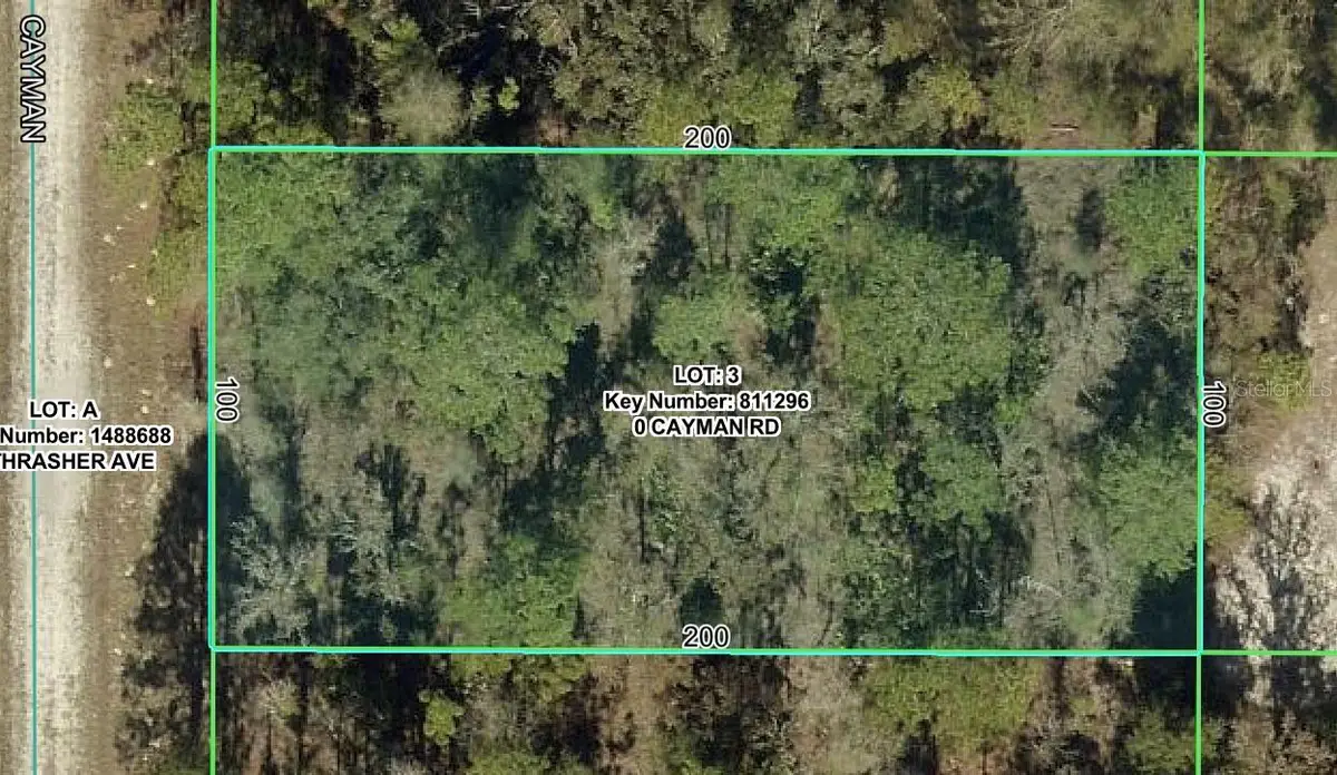16464 Cayman Road, Brooksville, FL 34614 - #1