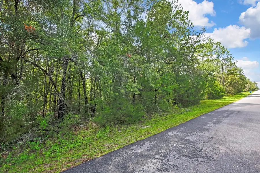 0 English Sparrow Road, Weeki Wachee, FL 34614 - #2