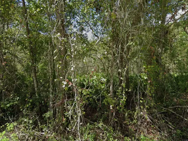 11457 Tulane Street, NEW PORT RICHEY, FL 34654