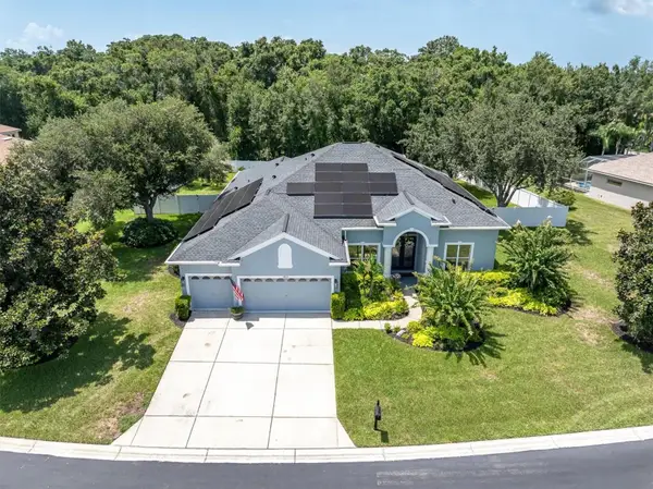 1805 Mountain Ash Way, TRINITY, FL 34655