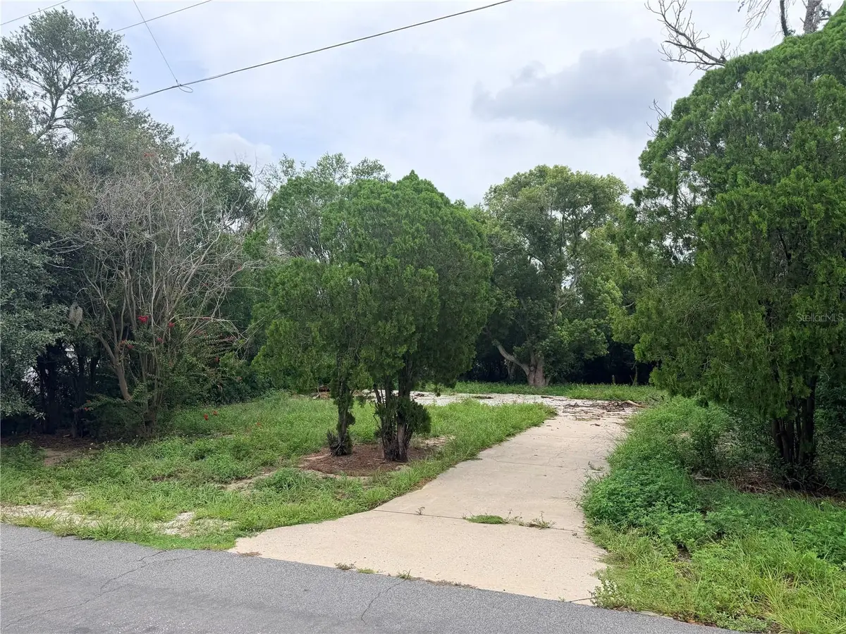 11411 Sagamore Street, Spring Hill, FL 34609 - #1