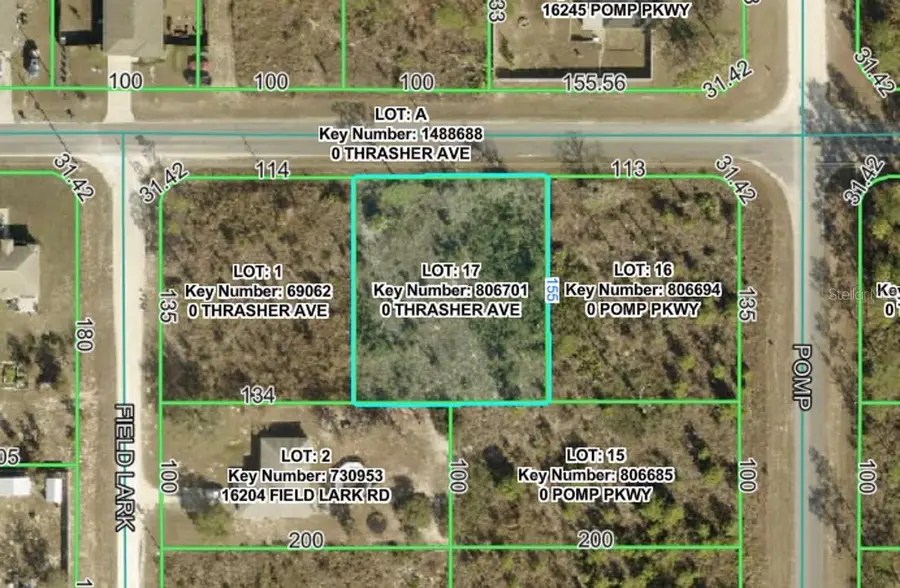 13101 Thrasher Avenue, Weeki Wachee, FL 34614 - #2