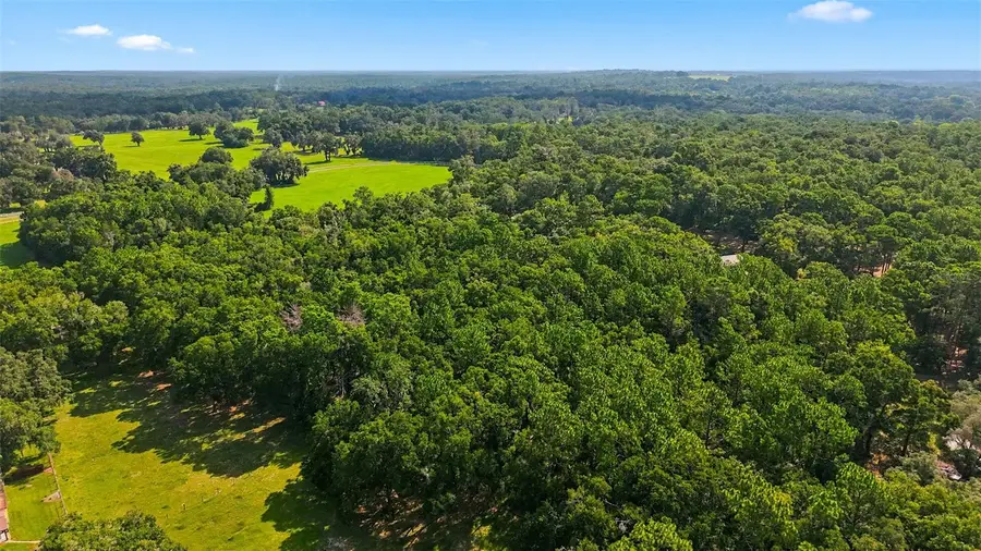 Lonesome Road, Brooksville, FL 34601 - #2