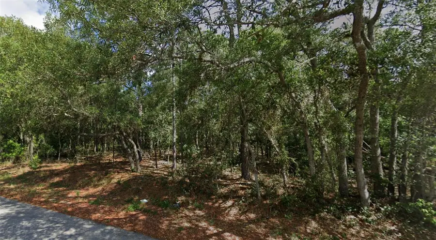 0 Todd Trail, Spring Hill, FL 34610 - #3