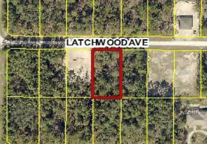 Latchwood Avenue, Weeki Wachee, FL 34614 - #1