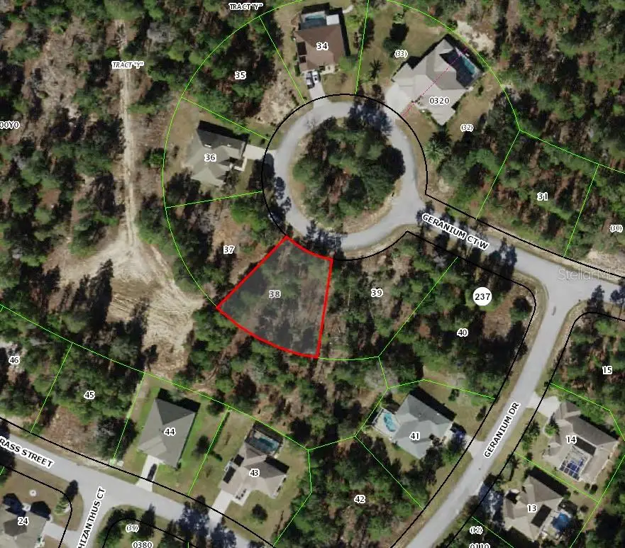 6 Geranium Court W, Homosassa, FL 34446 - #1