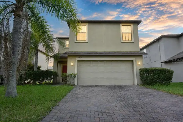 20028 Satin Leaf Avenue, TAMPA, FL 33647