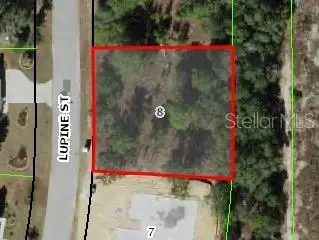 16 Lupine Street, Homosassa, FL 34446 - #1