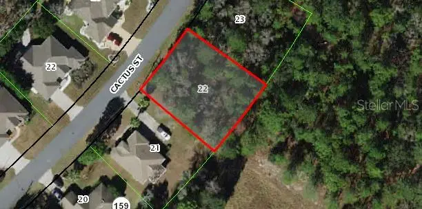 50 Cactus Street, Homosassa, FL 34446 - #1