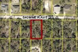 12092 Skimmer Avenue, Weeki Wachee, FL 34614 - #1