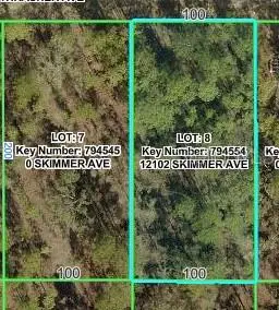12102 Skimmer Avenue, Weeki Wachee, FL 34614 - #3