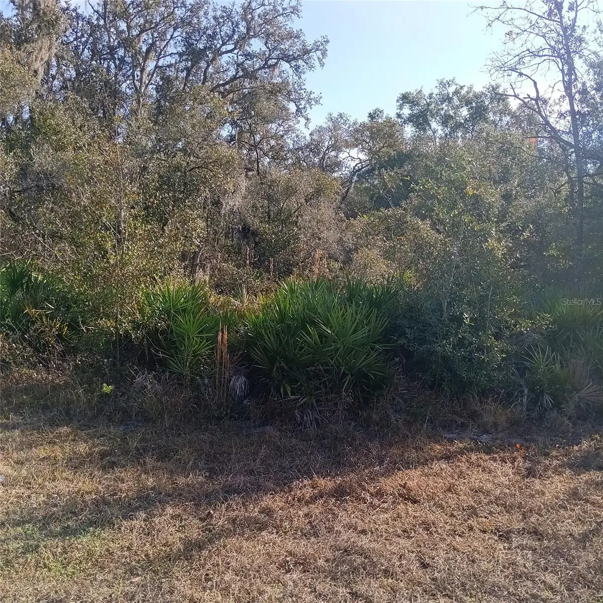 8110 Treiman Boulevard, Webster, FL 33597 - #1