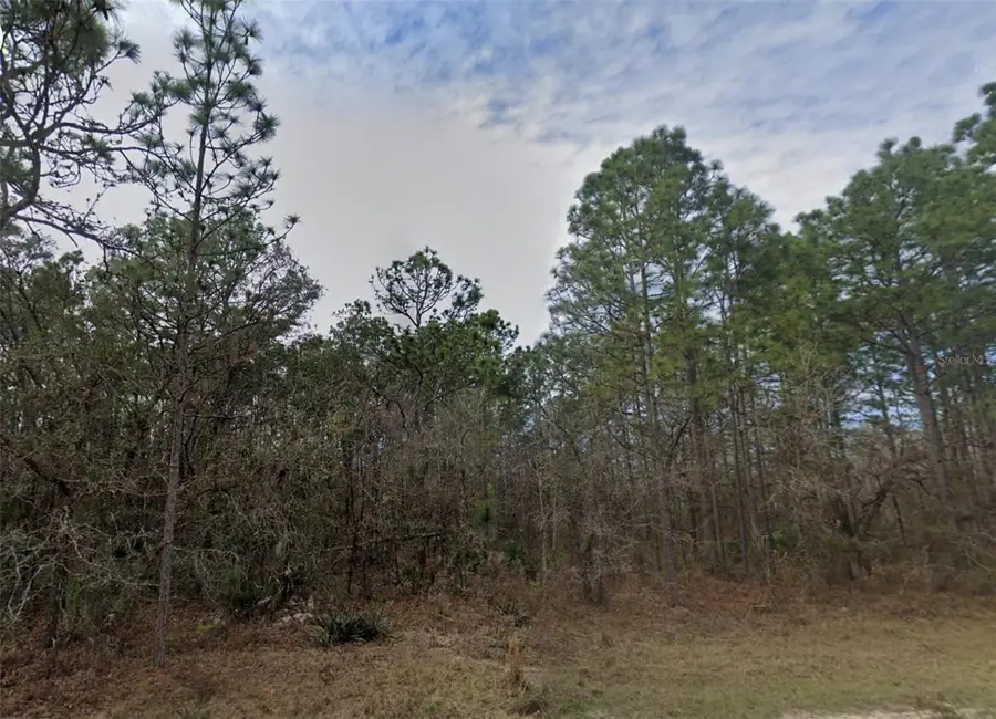 Malden Road, Weeki Wachee, FL 34614 - #3