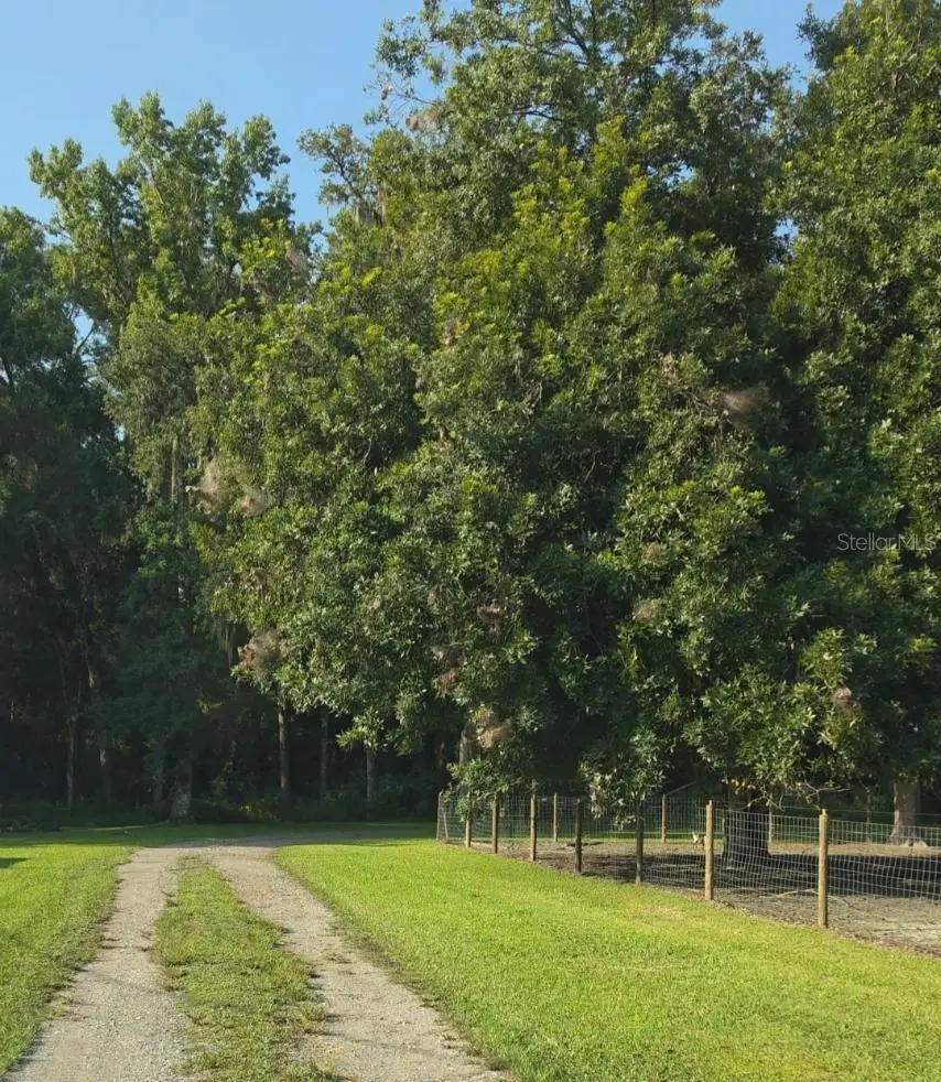 3415 Cr 679, Webster, FL 33597 - #2