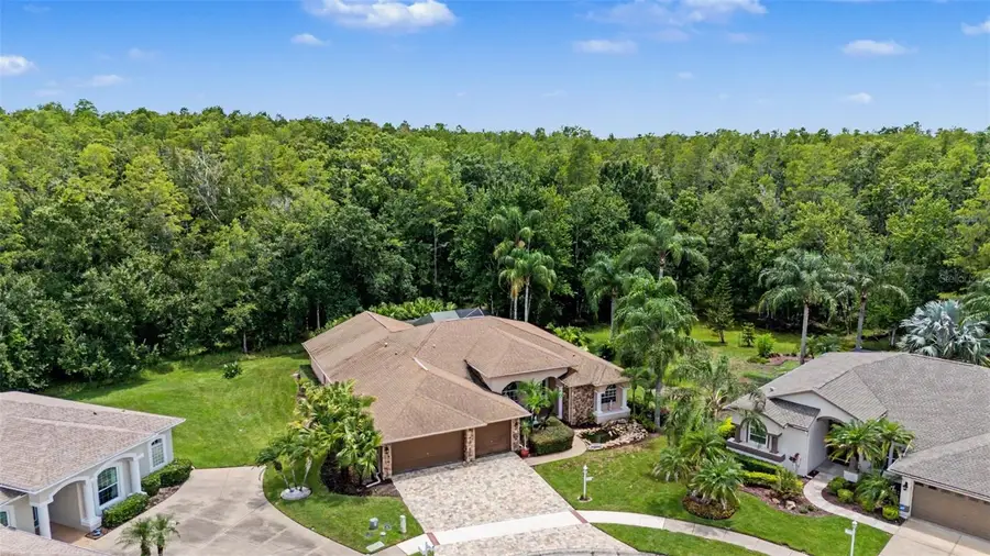 12146 Walstone Court, Trinity, FL 34655 - #2