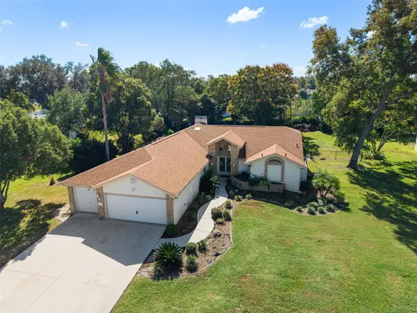 11316 Orangewood Court, SPRING HILL, FL 34609