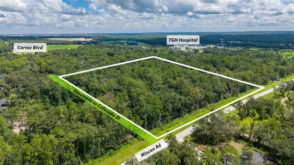 10.30 Acres Wiscon Road, BROOKSVILLE, FL 34601