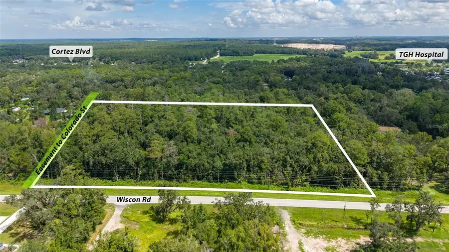 10.30 Acres Wiscon Road, Brooksville, FL 34601 - #2
