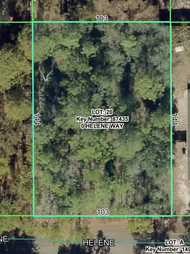 8977 Helene Way, Weeki Wachee, FL 34613 - #1