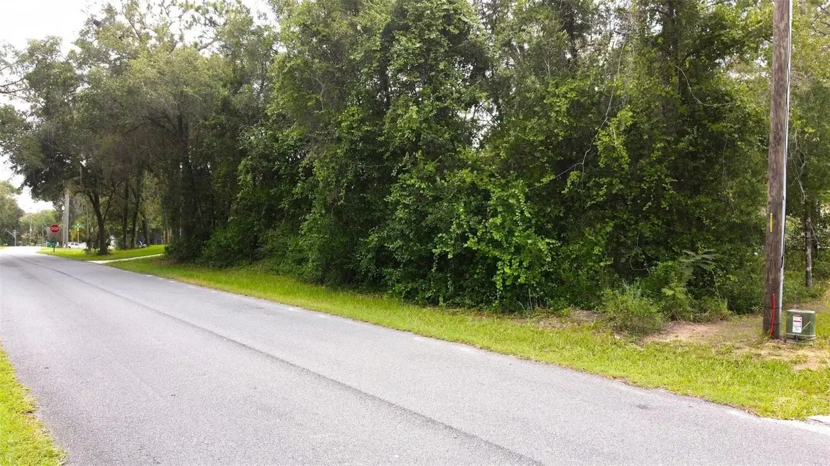 6982 N Palmer Way, Hernando, FL 34442 - #1
