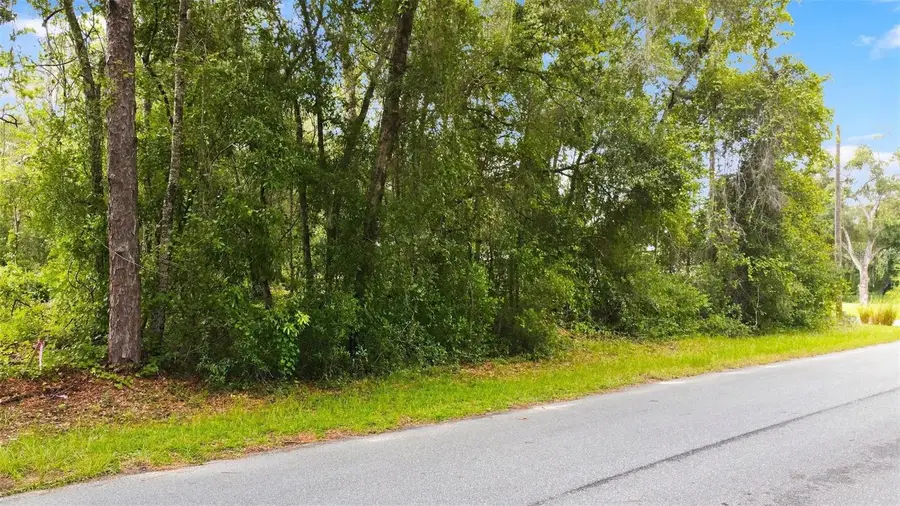 6982 N Palmer Way, Hernando, FL 34442 - #2
