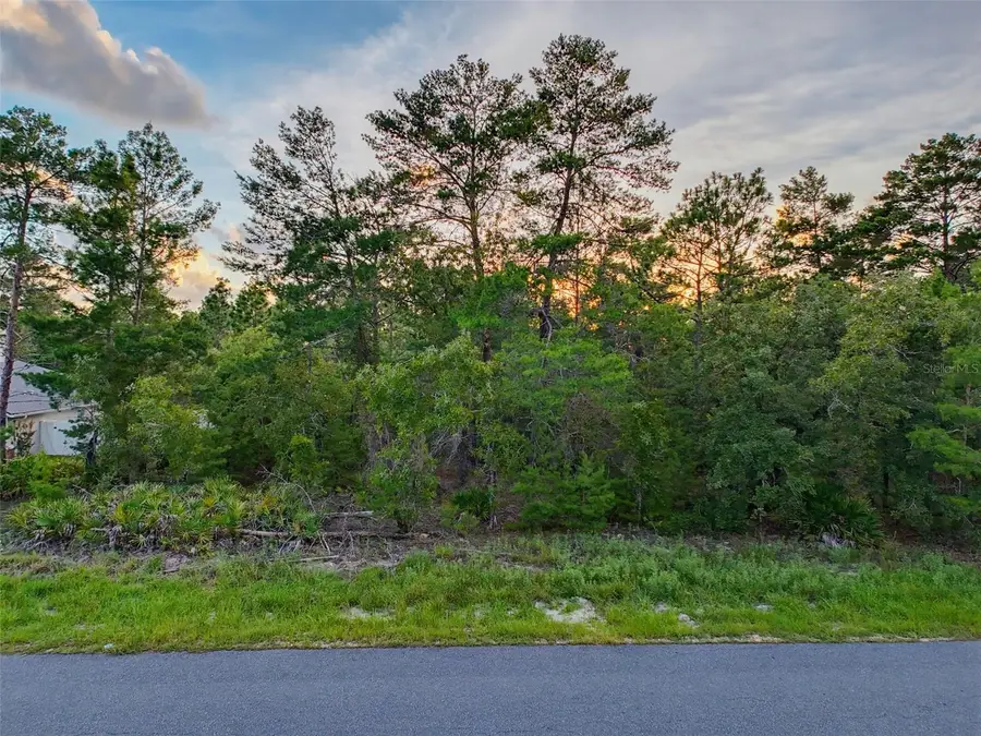 18367 Maberly Road, Weeki Wachee, FL 34614 - #3