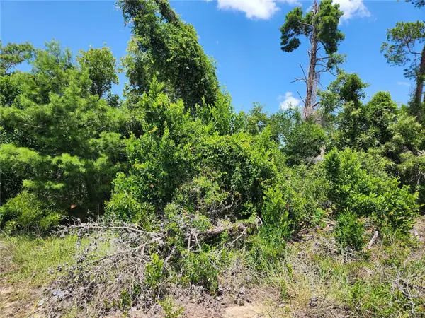 6241 Mariner Boulevard #Lot 31, SPRING HILL, FL 34609